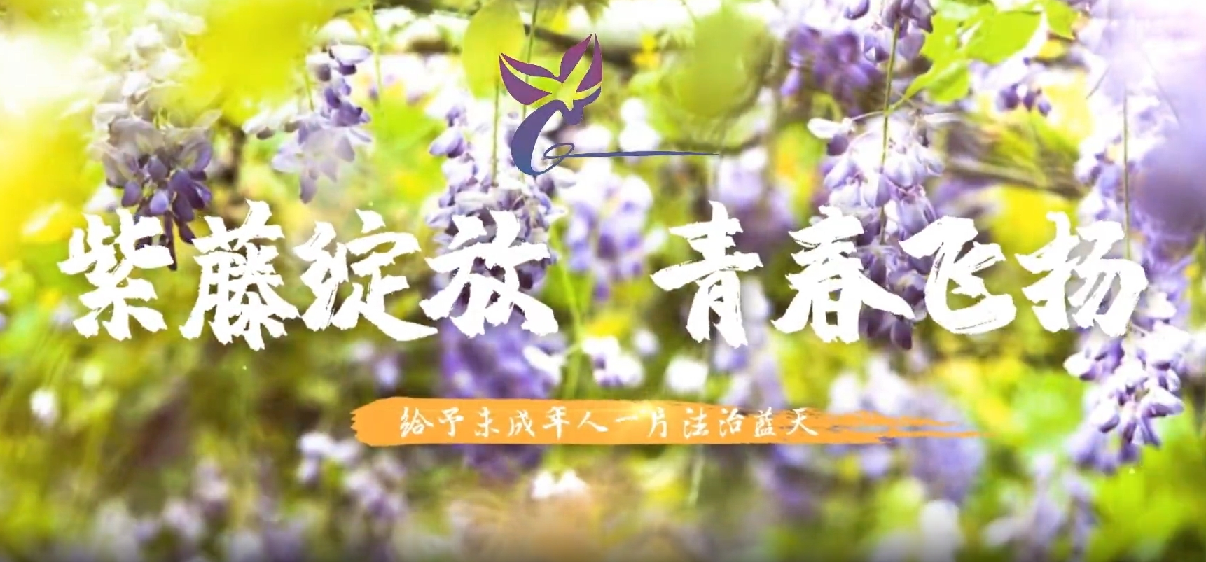 微信截图_20250520135925.png